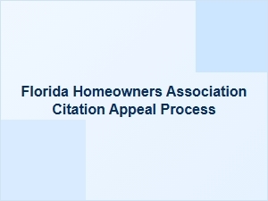 How to Appeal Your Florida Hoa Citation